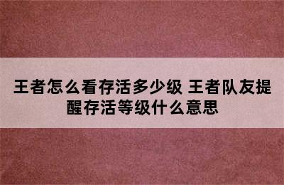 王者怎么看存活多少级 王者队友提醒存活等级什么意思